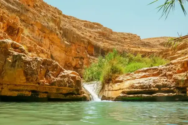Egypt Oasis Guide | Top Desert Oases to Visit in Egypt