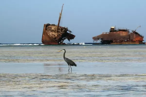 Nabq Protected Area