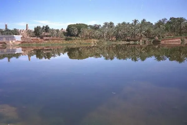 What is the Dakhla Oasis?