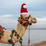 5 Days Egypt Christmas Vacation