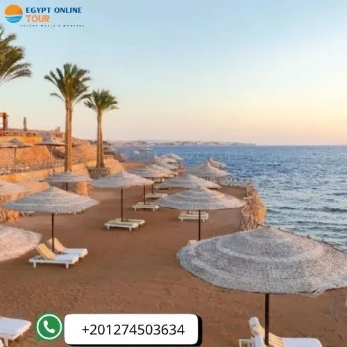 Alexandria Beaches