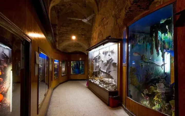 Alexandria Aquarium Museum