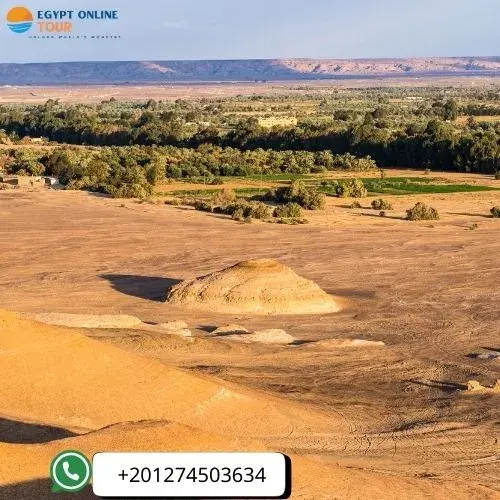 siwa oasis tour