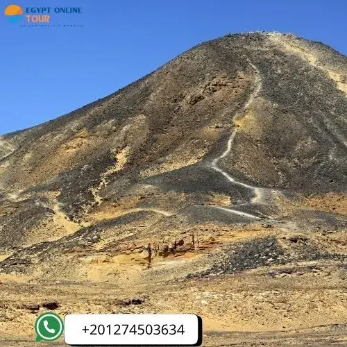 farafra oasis