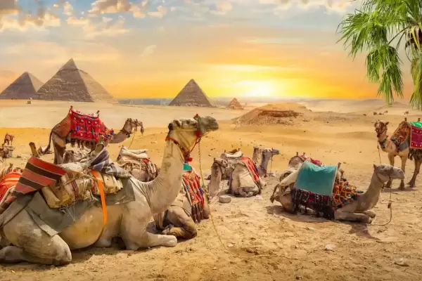 Best time to visit Egypt 2024/2025