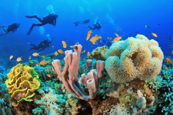 Best places in Egypt for Scuba Diving