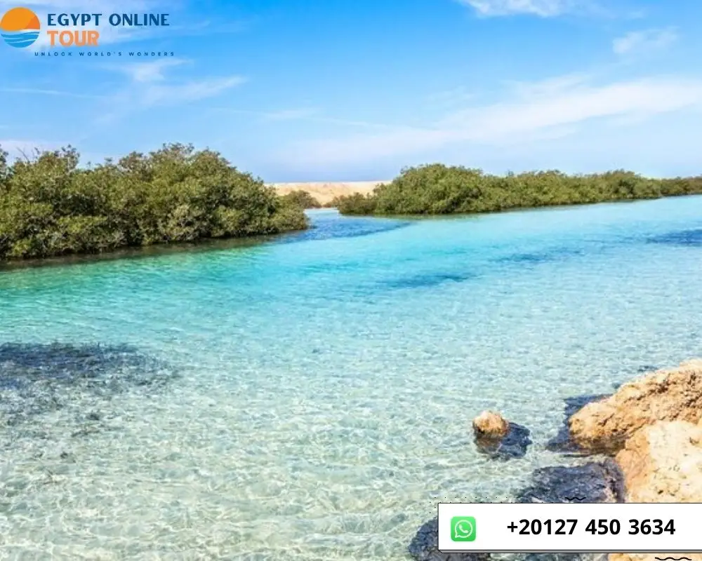 Ras Mohamed Tour from Sharm El Sheikh Port