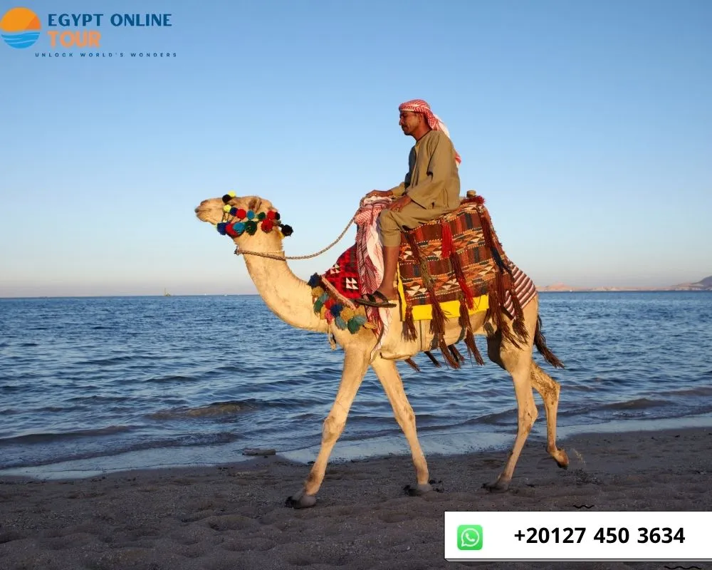 How Many Days to Spend in Sharm El Sheikh Egypt
