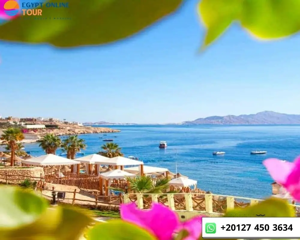 Is November a Good Time to Visit Egypt