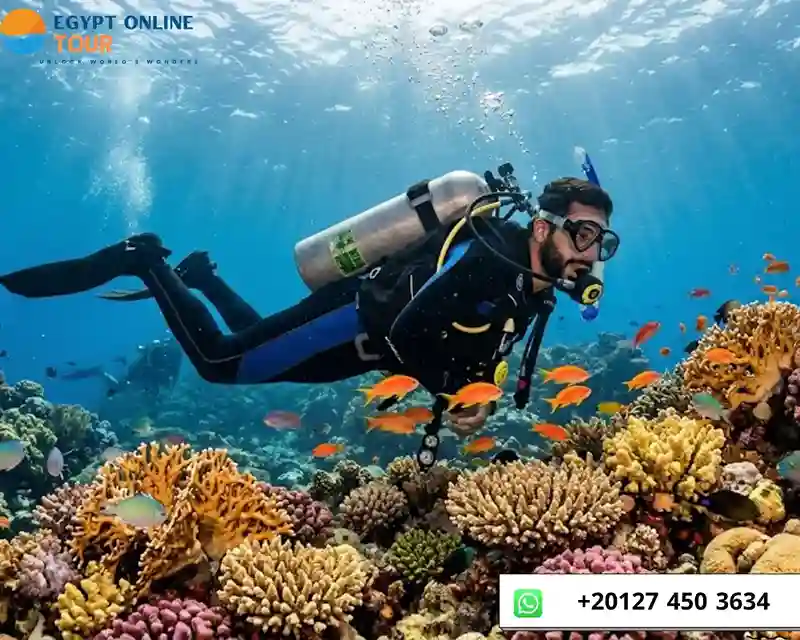 Giftun Island vs Orange Bay