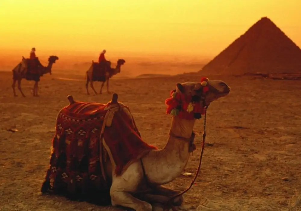 Things to Do in Egypt