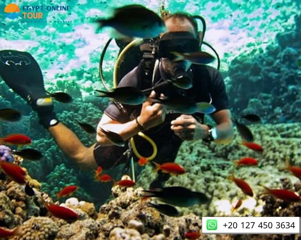 Best Beaches in Hurghada for Snorkeling