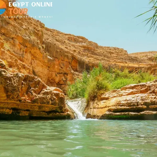 Siwa Oasis and White Desert Tour