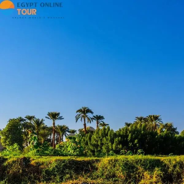 12 Days Cairo & Dahabiya Nile Cruise Luxury tour