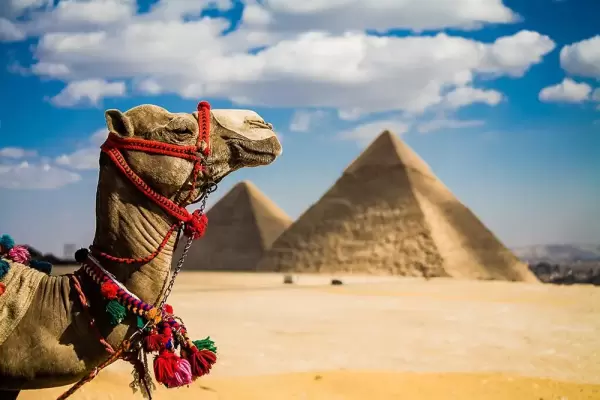 7-Day Explore Classical Egypt, Cairo & Sharm El Sheikh Tour