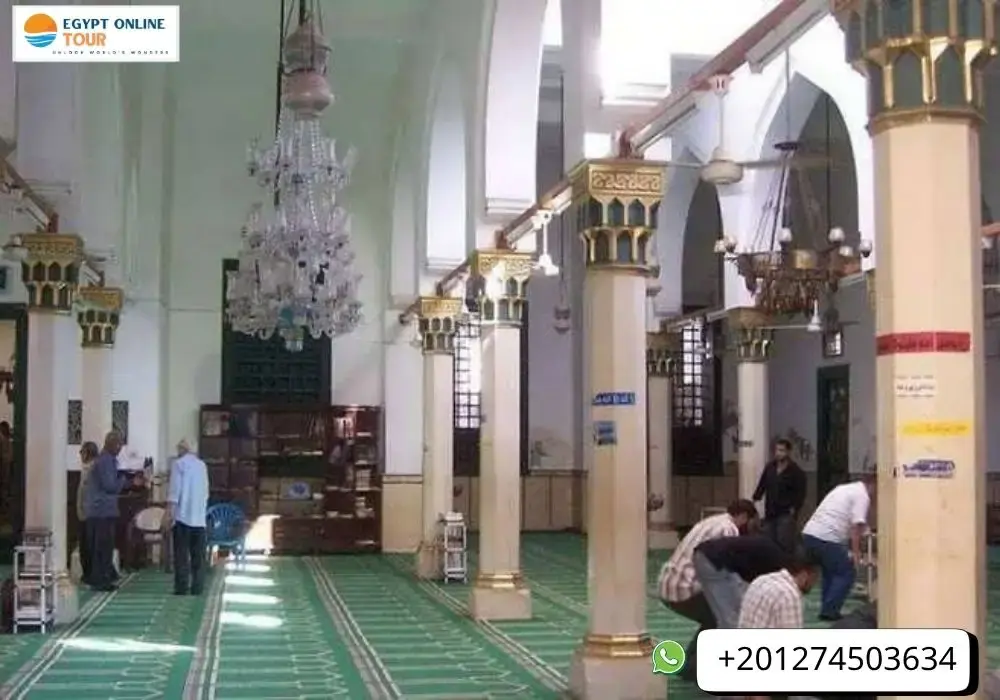 Alexandria Archeological Day Tour