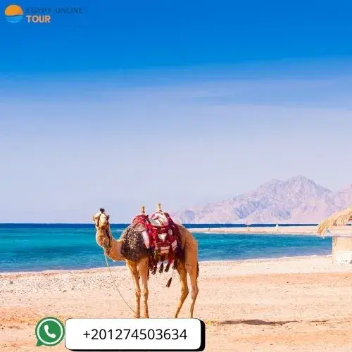 Egypt Travel Tips from USA