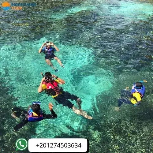 How to Spend Summer Vacation in Egypt