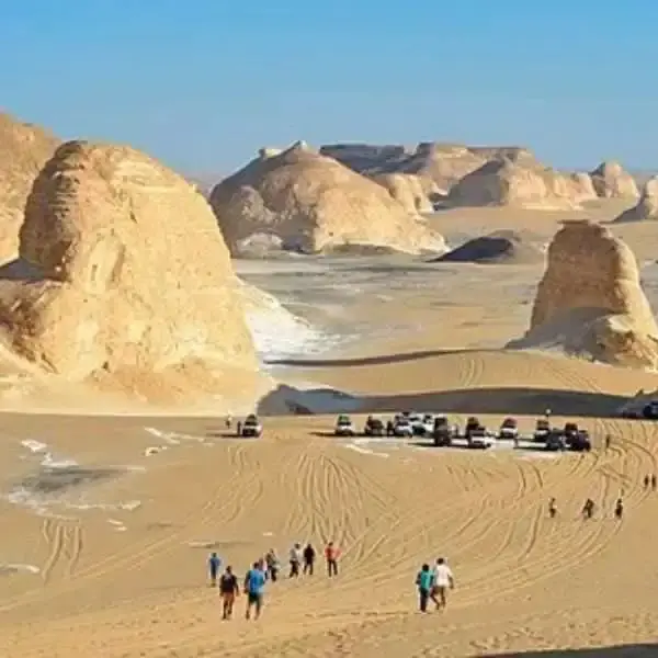 farafra oasis