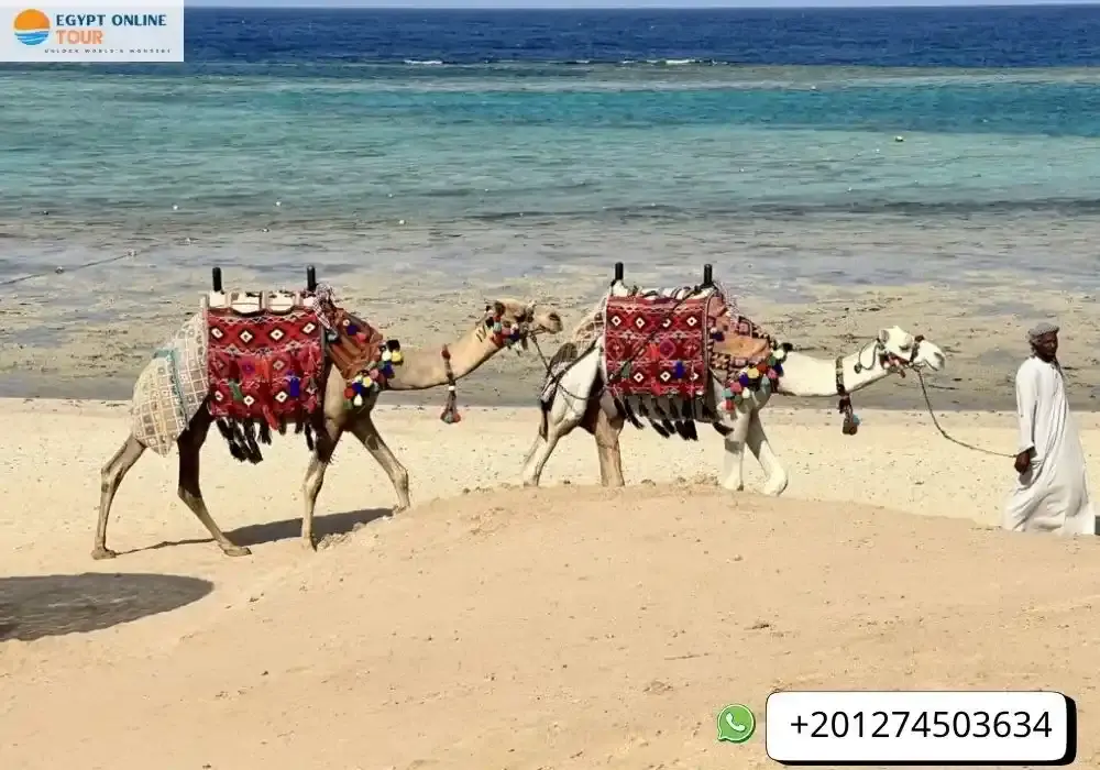 Wadi el Gemal National Park