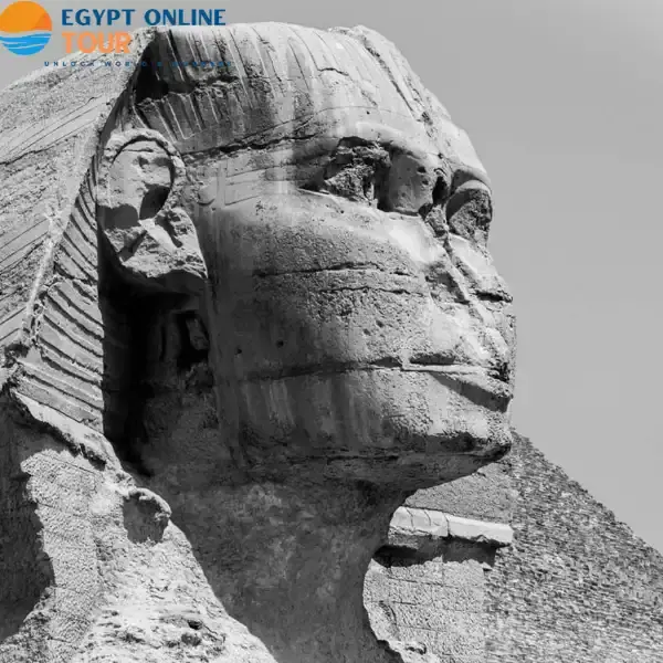 What is in the Sphinx of Egypt