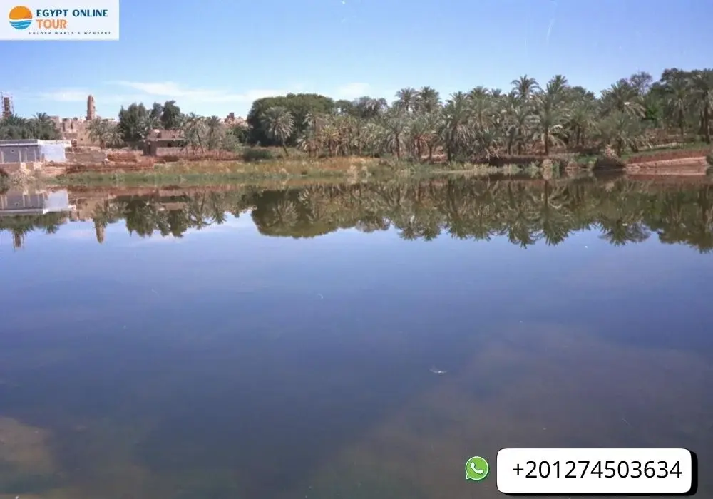 Dakhla Oasis