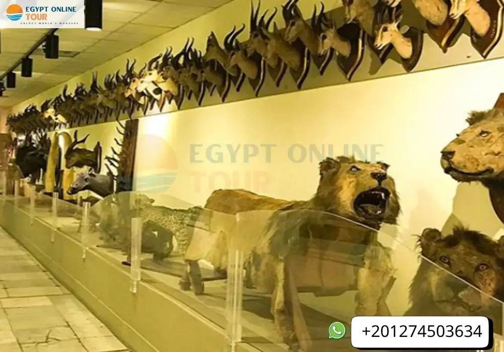 prince mohamed ali palace (al manial palace)