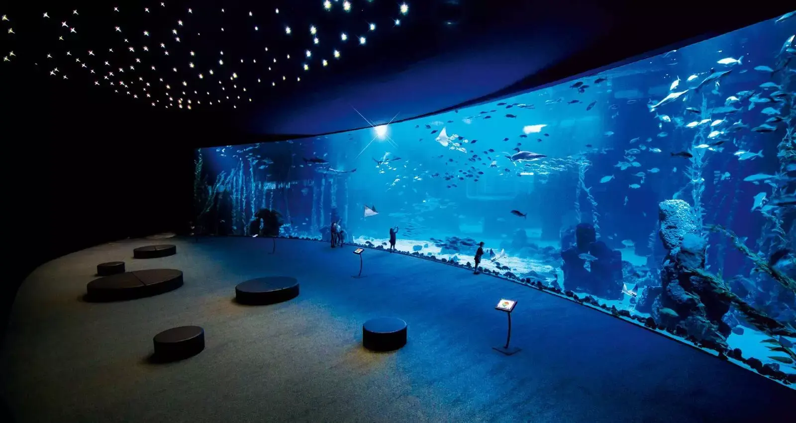 Hurghada Grand Aquarium