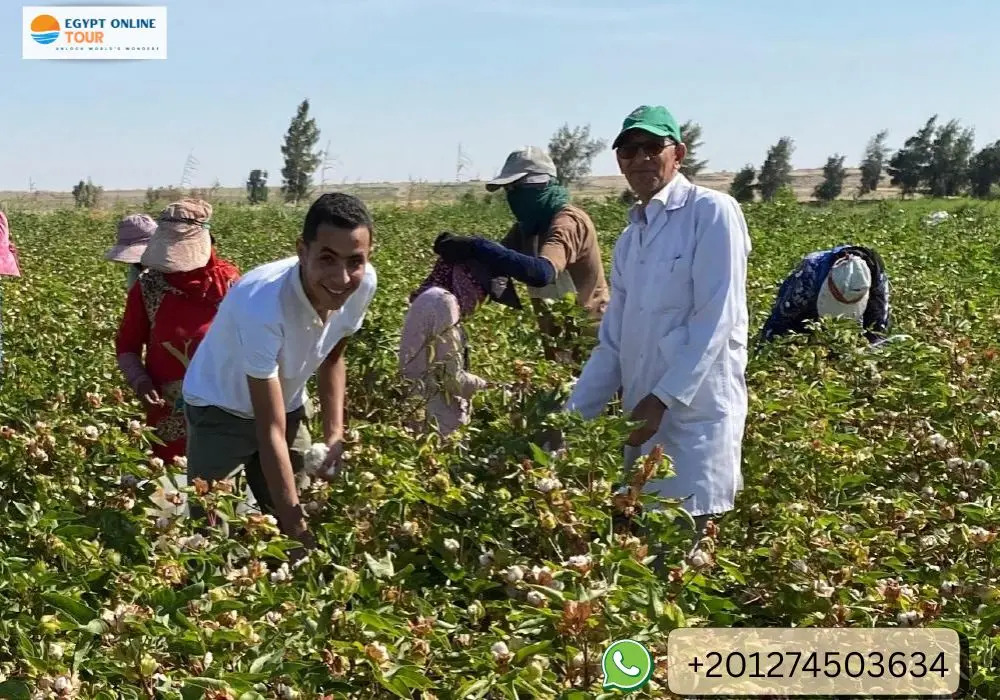 Egypt Countryside day tour