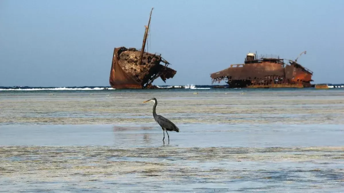 Nabq Protected Area