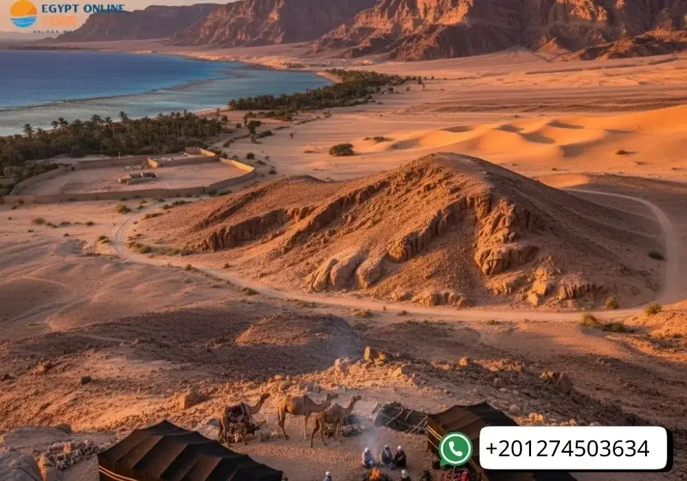 Sinai peninsula things to do
