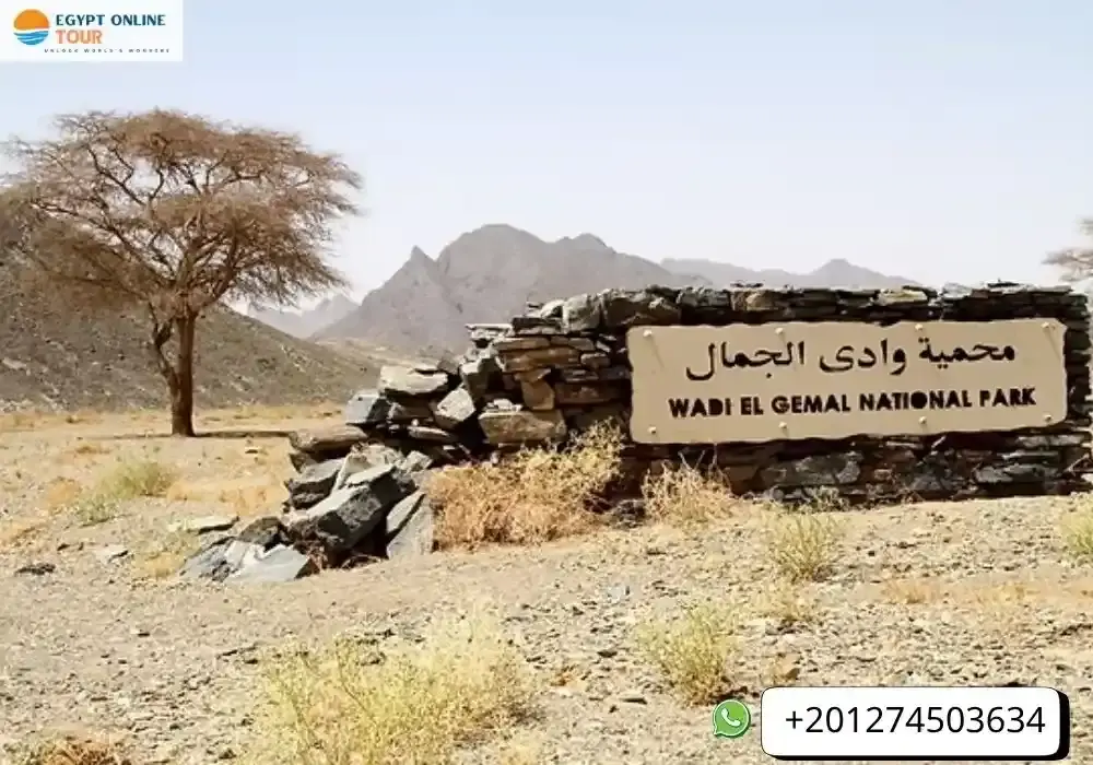 Wadi el Gemal National Park