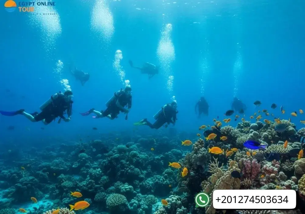 Sinai peninsula things to do