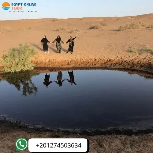 Visit Siwa Oasis