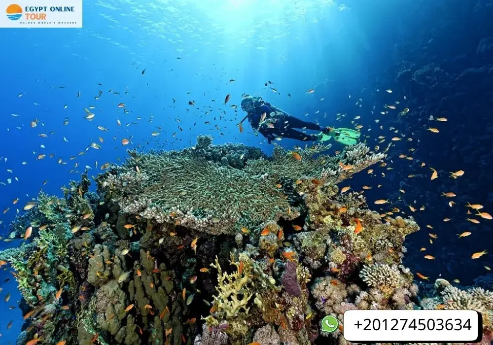 Ras Mohammed National Park