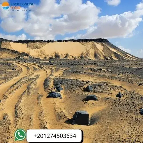 siwa oasis tour