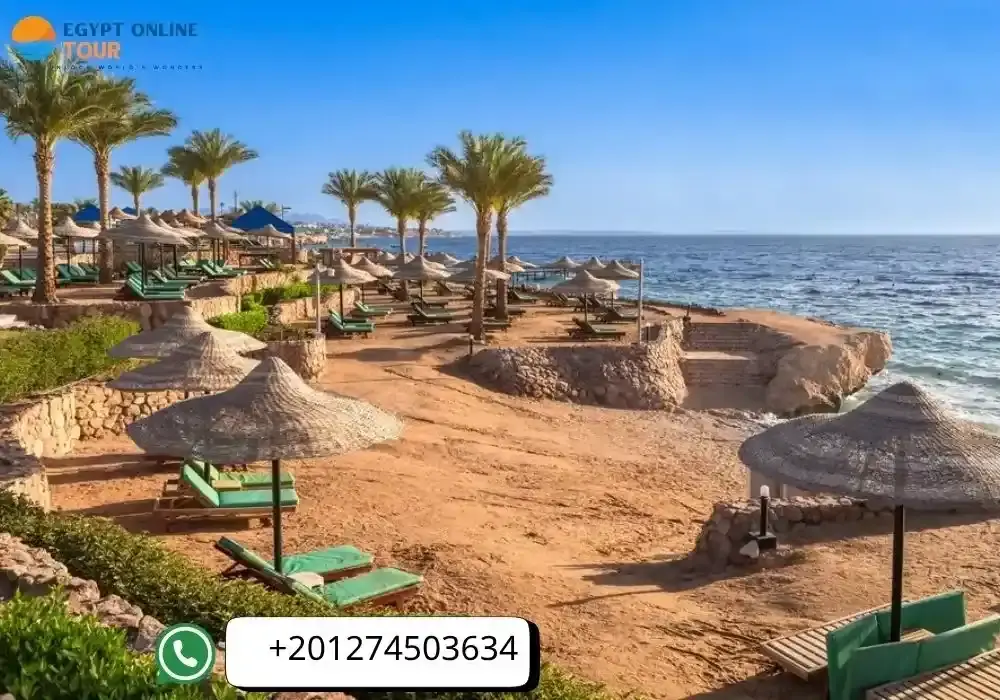 7 Days Cairo and Sharm El Shiekh Christmas Tour