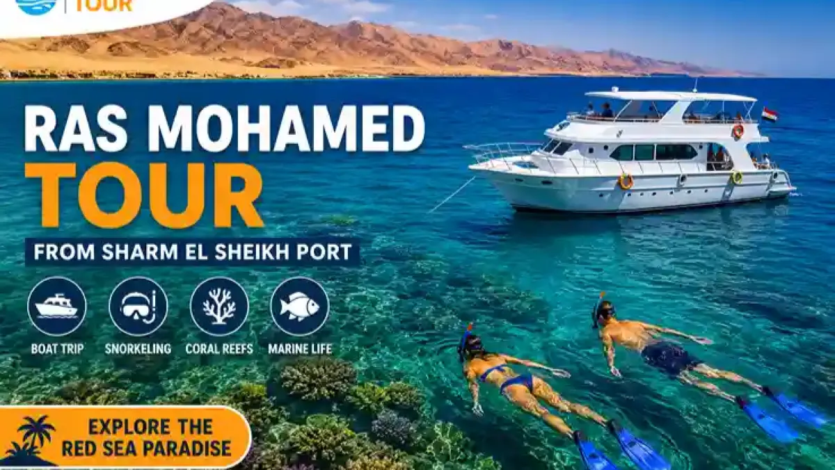 Ras Mohamed Tour from Sharm El Sheikh Port