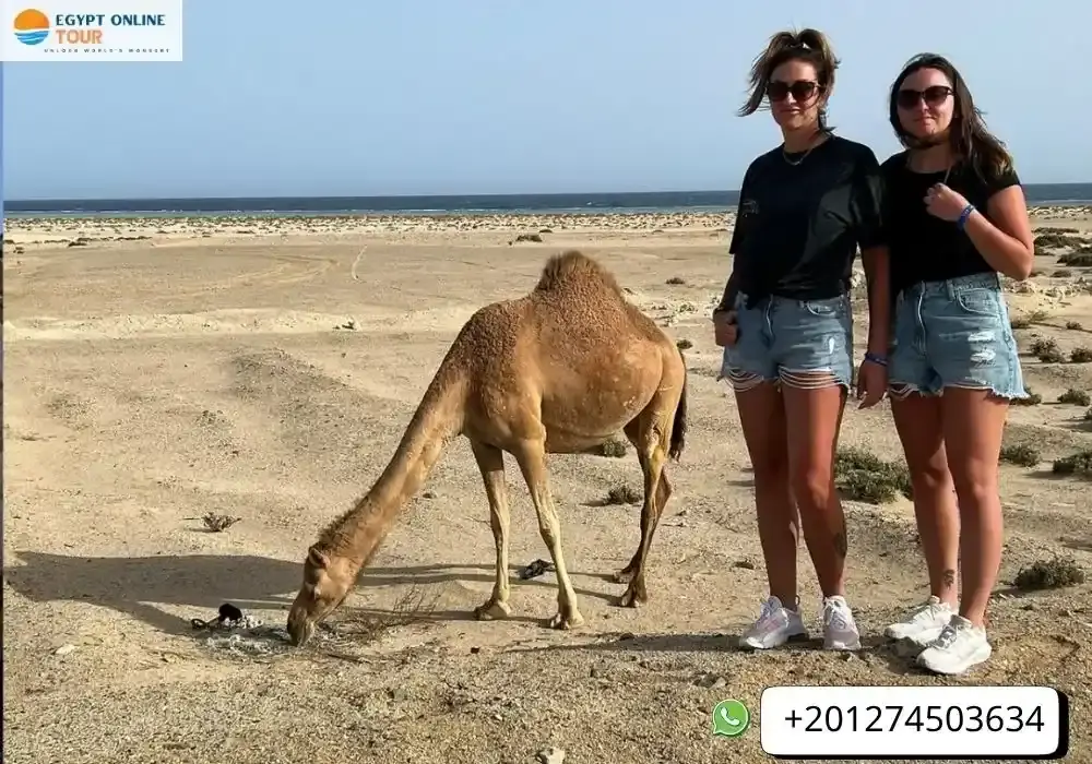 Wadi el Gemal National Park