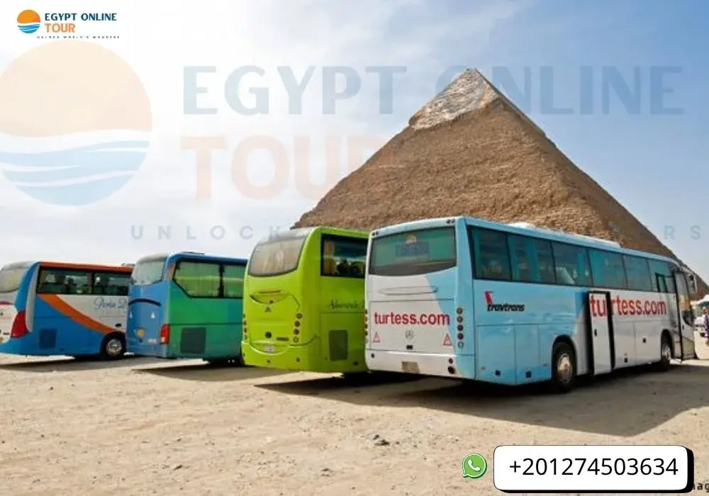 6 Days Cairo and Hurghada Christmas Tour