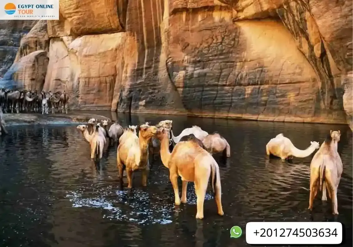 Wadi el Gemal National Park
