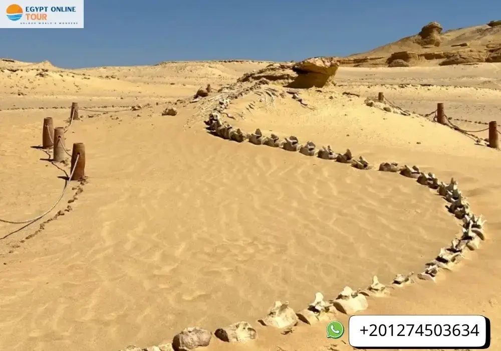 Fayoum Oasis
