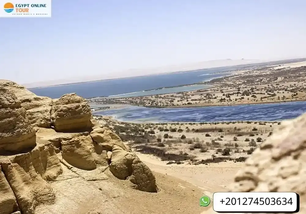 Wadi El Rayan