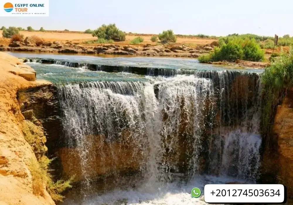 Fayoum Oasis