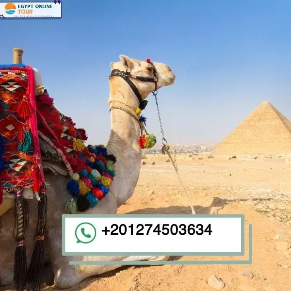 what are attractions and activities to do in egypt