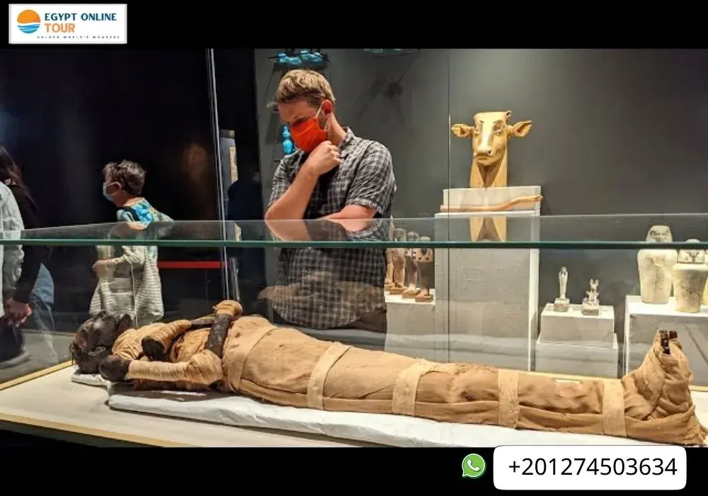 Ancient Egyptian Mummies